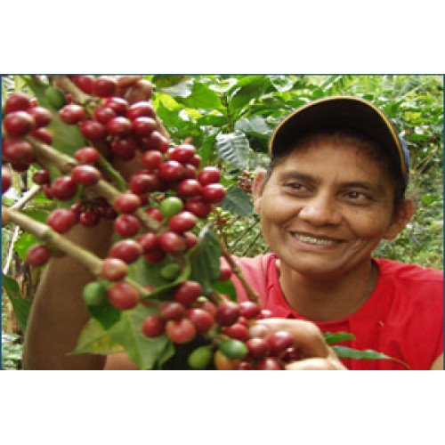 Test Espresso